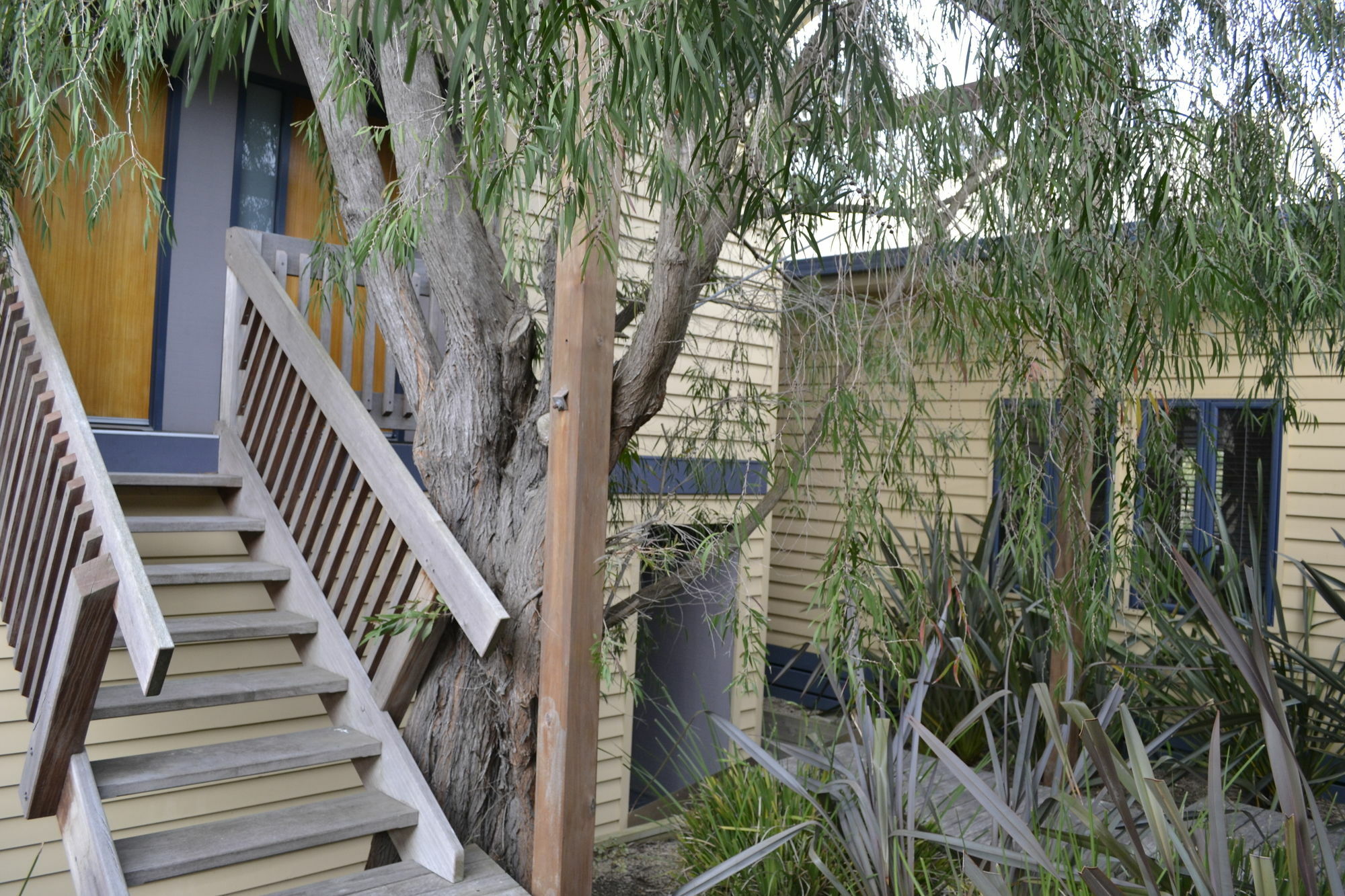 Sandpiper Motel Apollo Bay Exterior foto